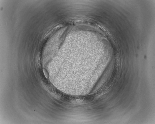 X0000085800594200704131923