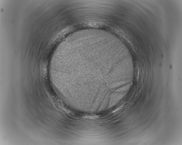 X0000085800595200704131923