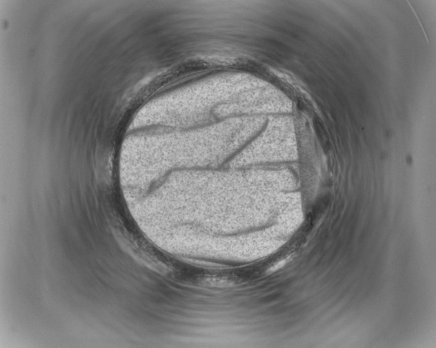 X0000085800596200704131923