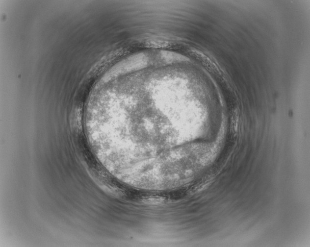 X0000085800598200704131923