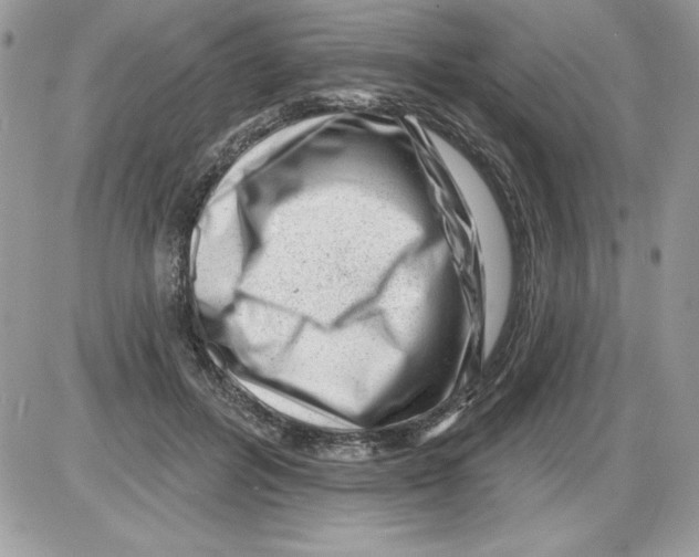 X0000085800600200704131923