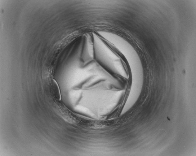 X0000085800601200704131923