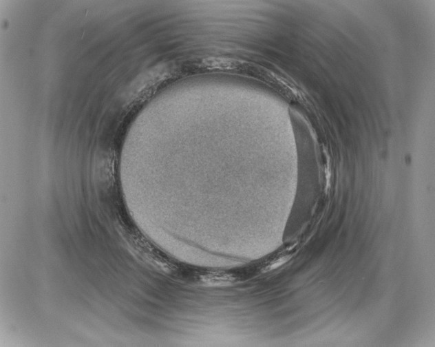 X0000085800603200704131923