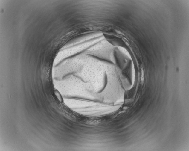 X0000085800604200704131923