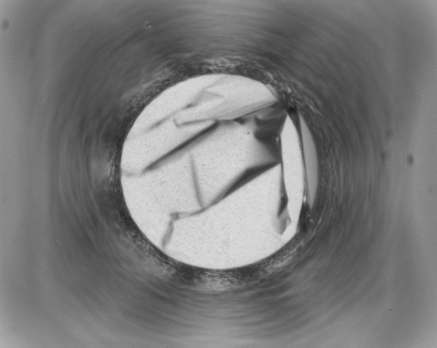 X0000085800608200704131923