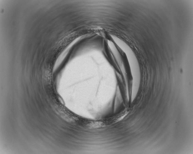 X0000085800609200704131923