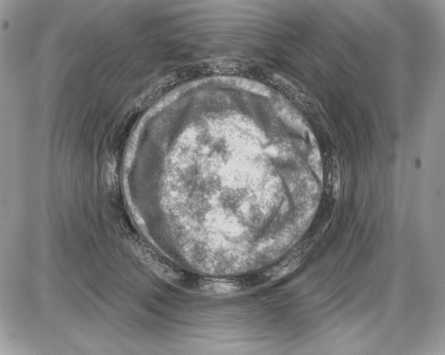 X0000085800610200704131923