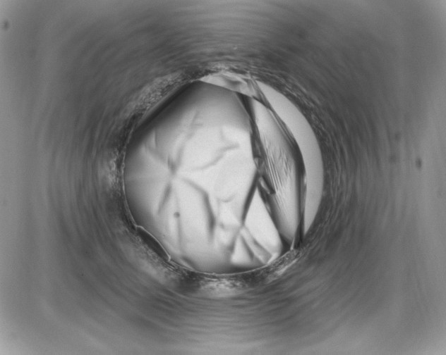 X0000085800611200704131923