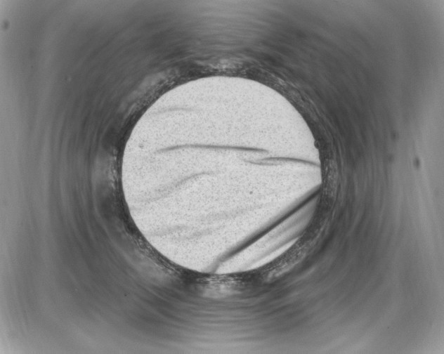 X0000085800612200704131923