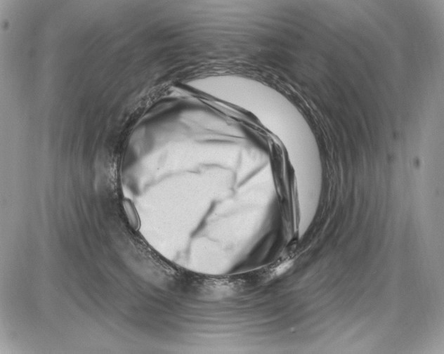 X0000085800613200704131923