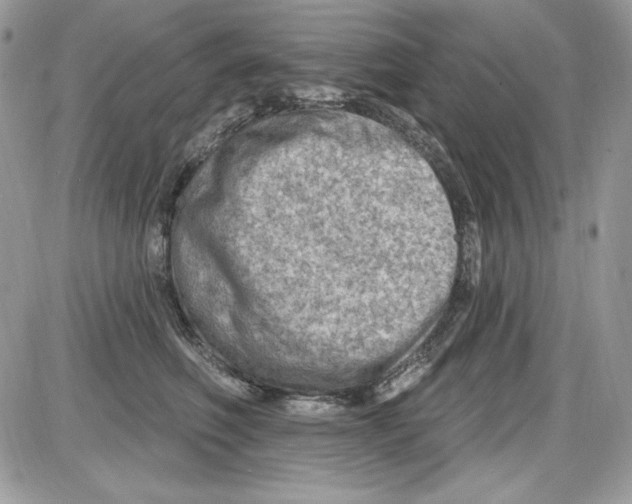 X0000085800614200704131923