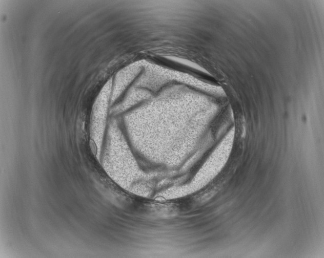 X0000085800615200704131923