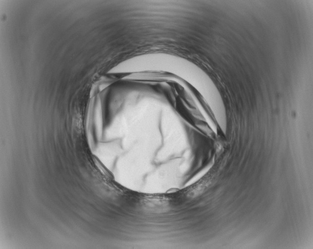 X0000085800617200704131922