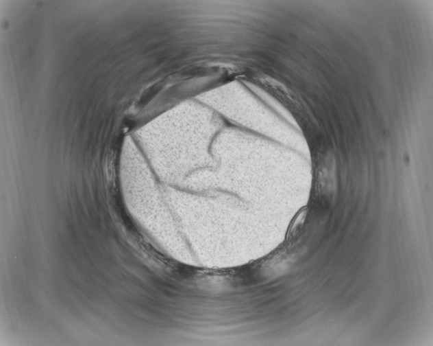 X0000085800620200704131922