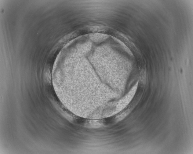 X0000085800622200704131922