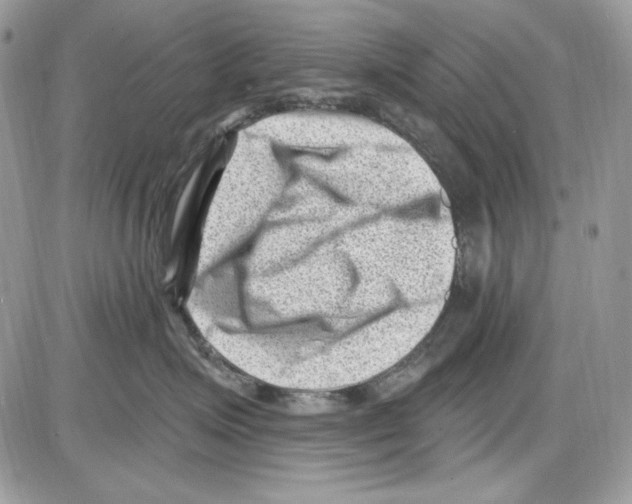 X0000085800623200704131922