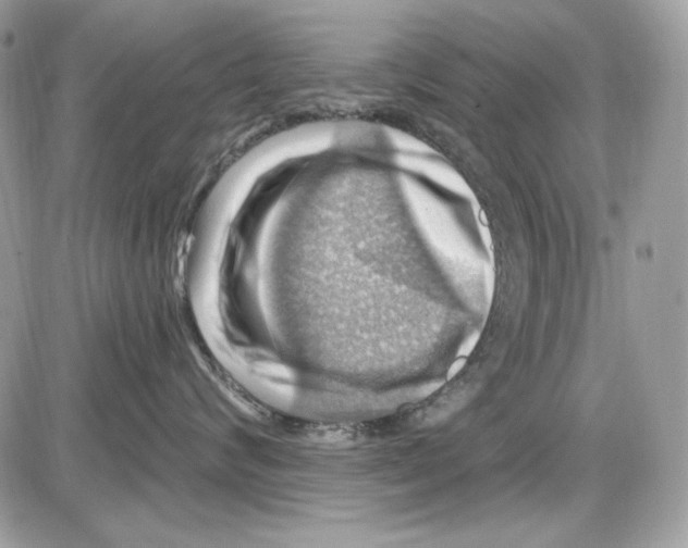 X0000085800624200704131922