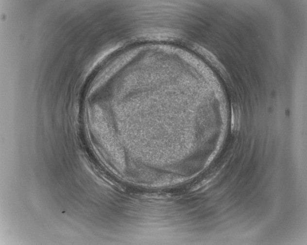 X0000085800627200704131922