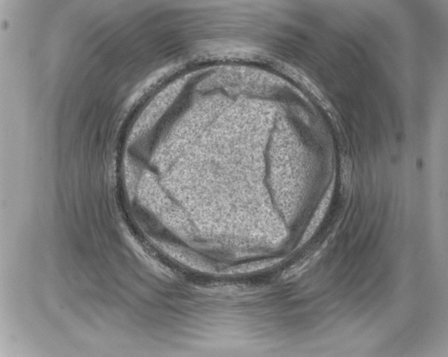 X0000085800629200704131922