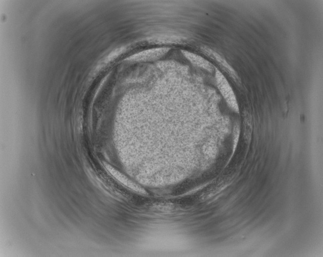 X0000085800631200704131922