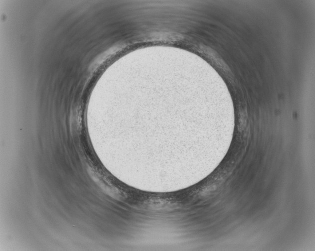 X0000085800632200704131922