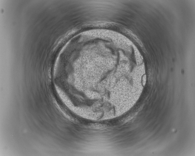 X0000085800633200704131922