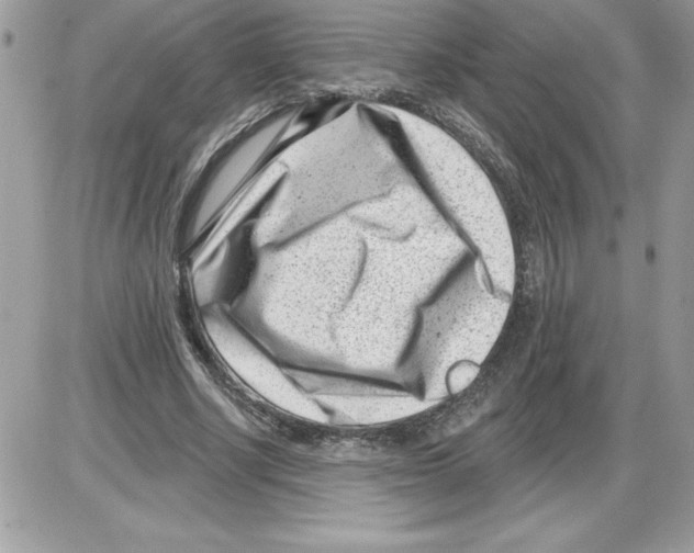 X0000085800634200704131922