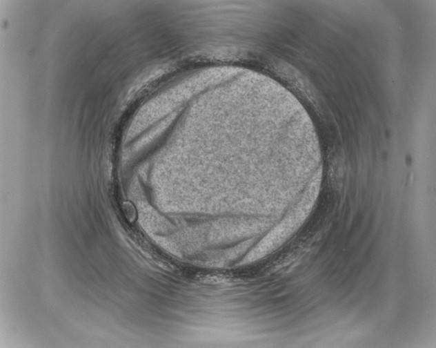 X0000085800635200704131922