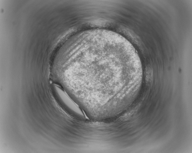 X0000085800637200704131922