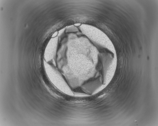 X0000085800638200704131922