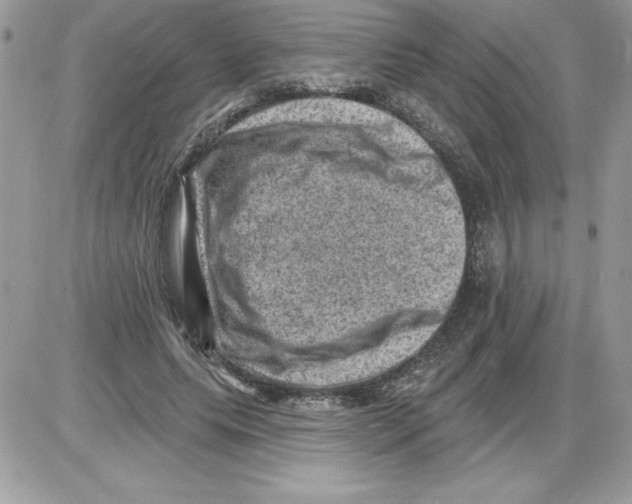 X0000085800639200704131922