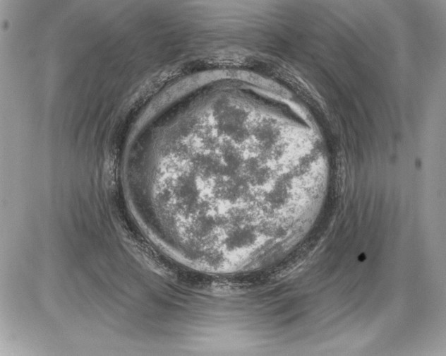 X0000085800641200704131922