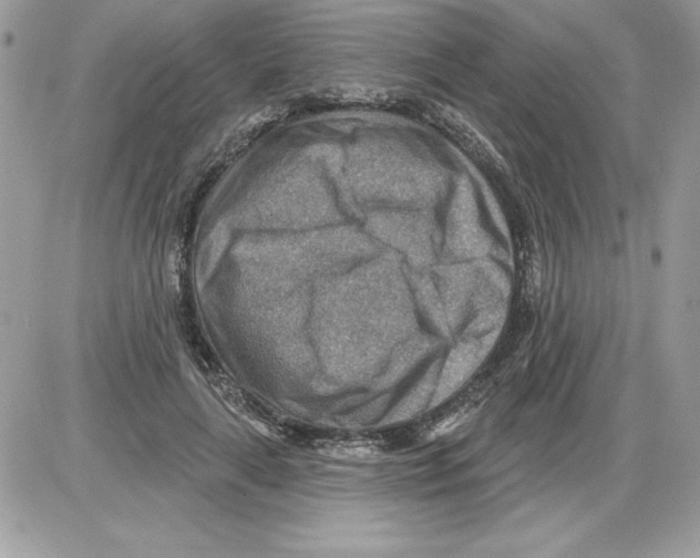 X0000085800643200704131922