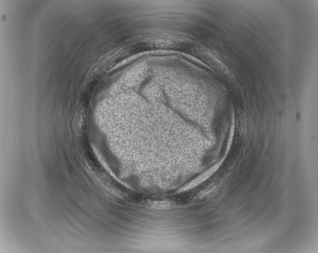 X0000085800645200704131922