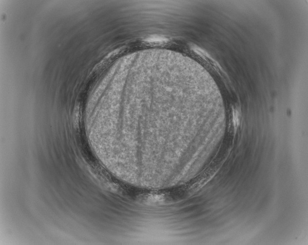 X0000085800647200704131922