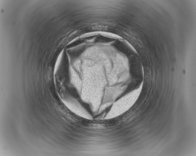 X0000085800649200704131922