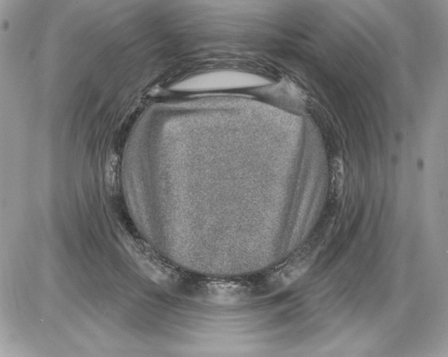 X0000085800650200704131922