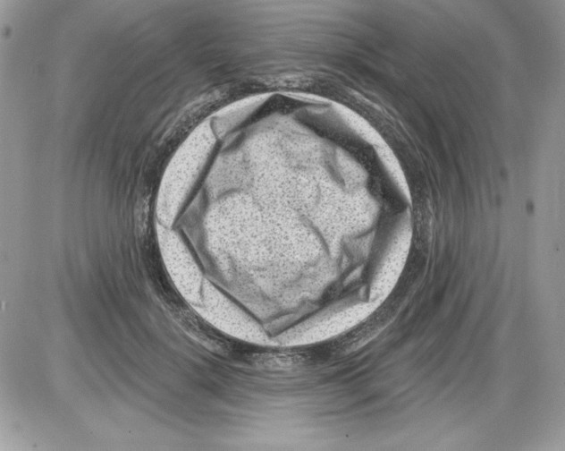 X0000085800652200704131922