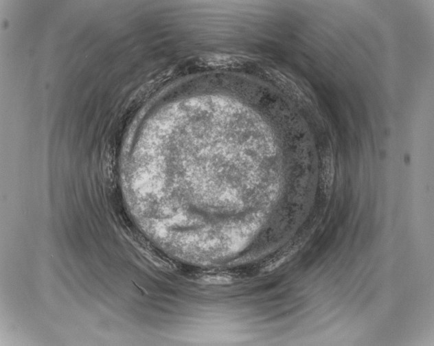 X0000085800653200704131922