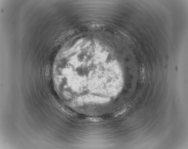 X0000085800654200704131922