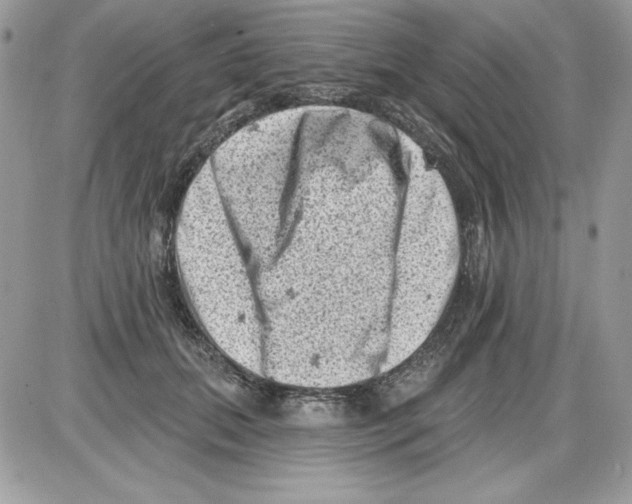 X0000085800655200704131922