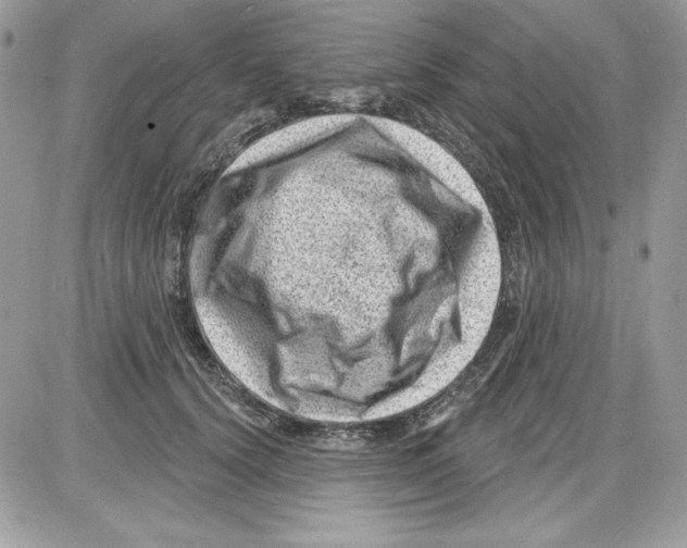 X0000085800656200704131922