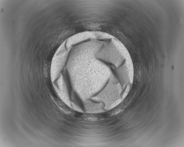 X0000085800658200704131922