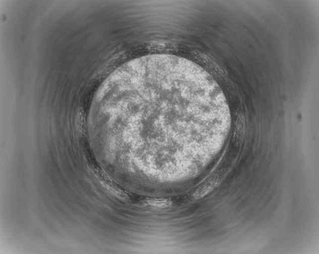 X0000085800659200704131922