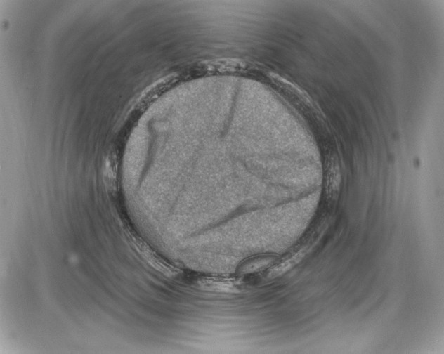 X0000085800661200704131922