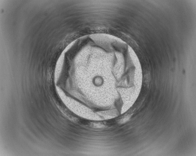 X0000085800662200704131922