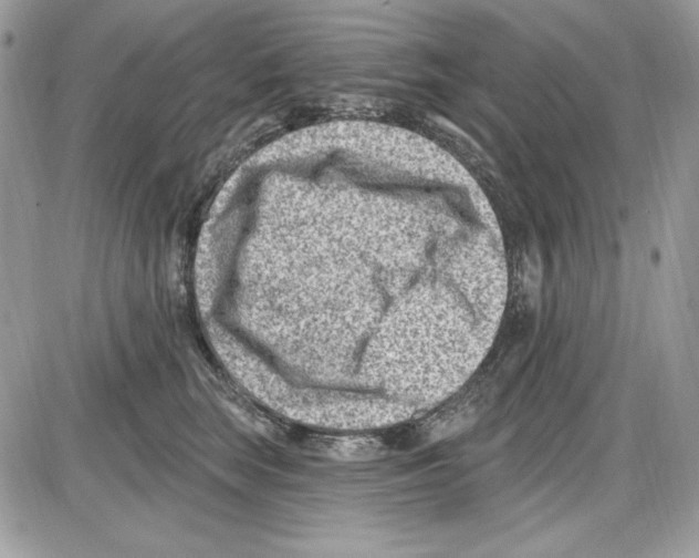 X0000085800663200704131922