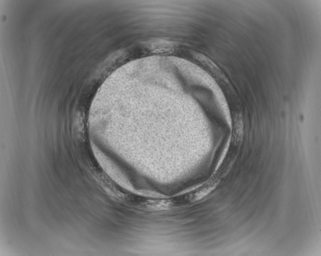 X0000085800667200704131922