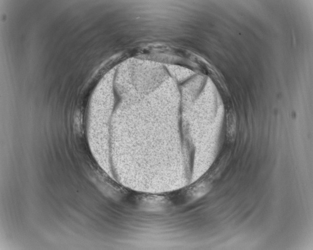 X0000085800669200704131922