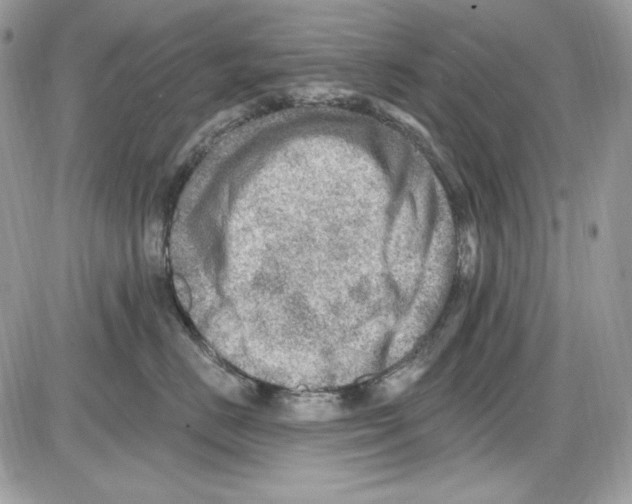 X0000085800670200704131922